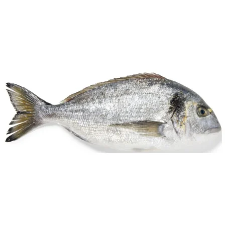 Daurade royale vidée et écaillée FILIERE QUALITE la pièce de 600g